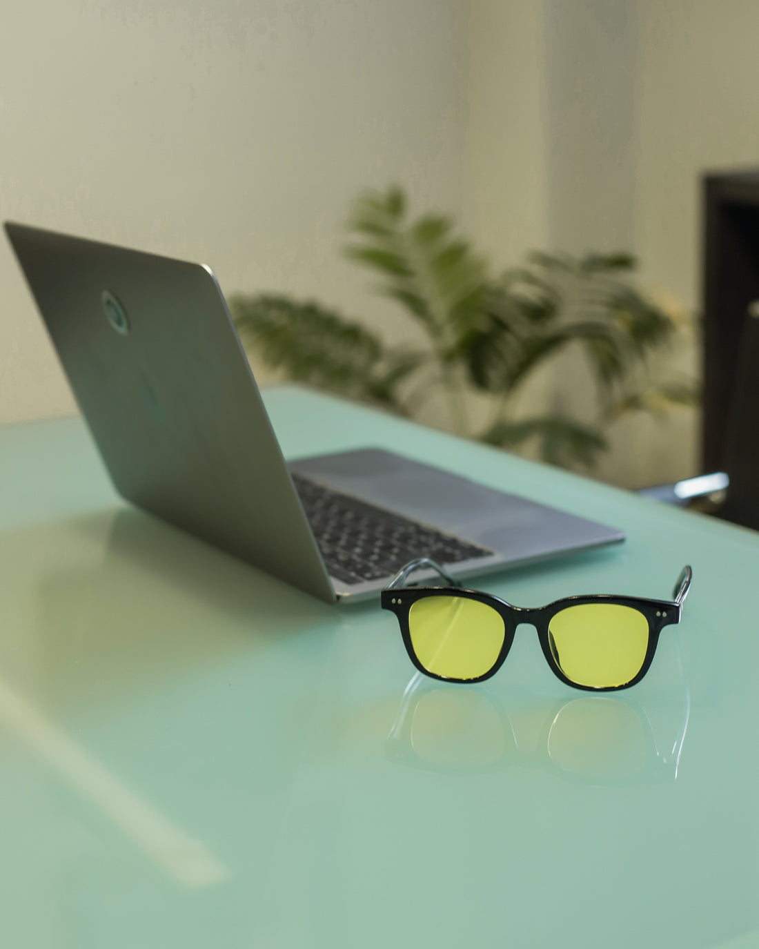 Protege tus Ritmos Circadianos: La Importancia del Sol y la luz